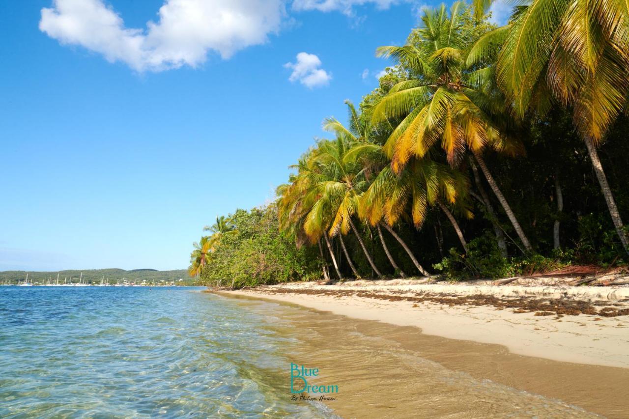 Kaz'Detente, Marie Galante, Plage Kawann Grand-Bourg  外观 照片